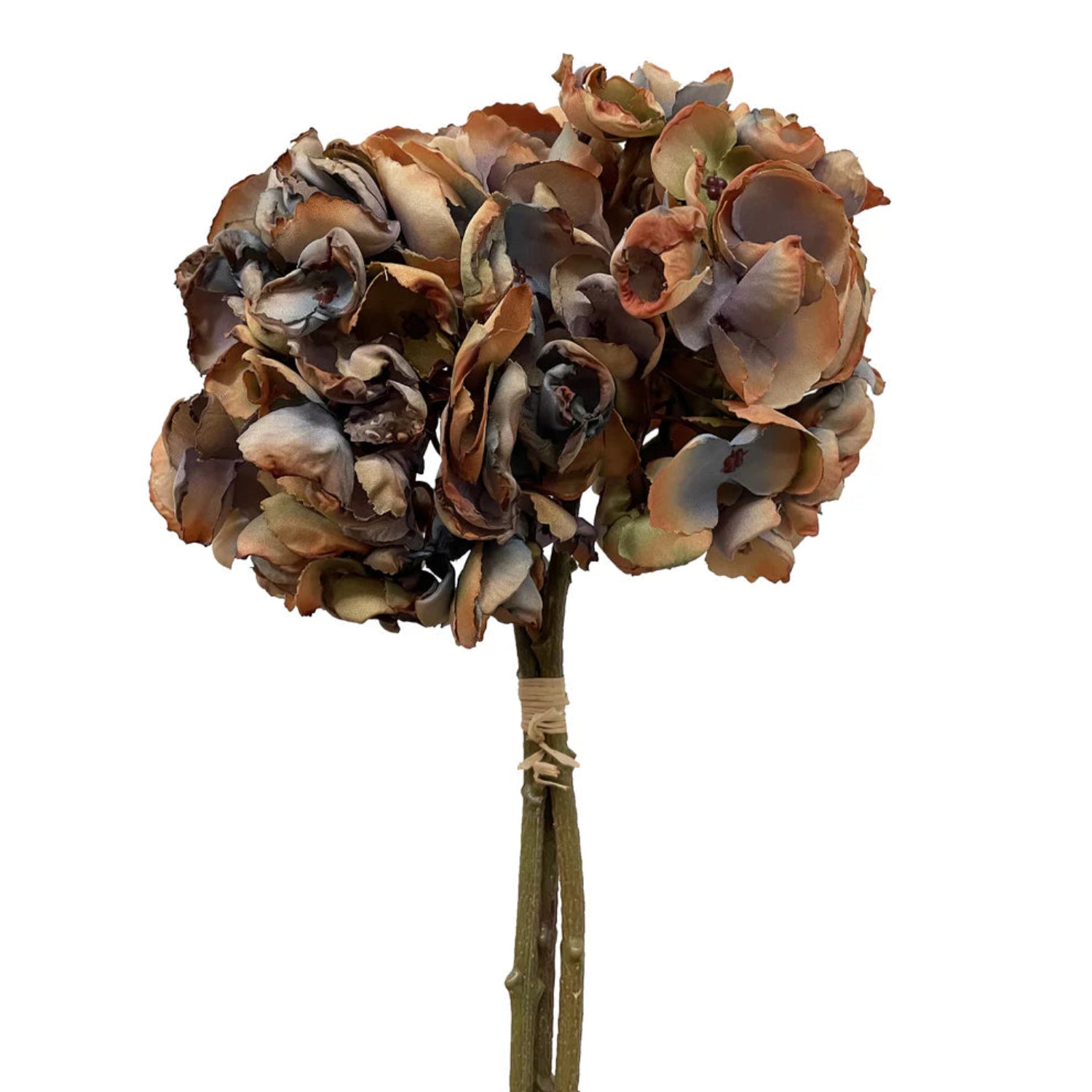 Bouquet of dried flowers on a white background