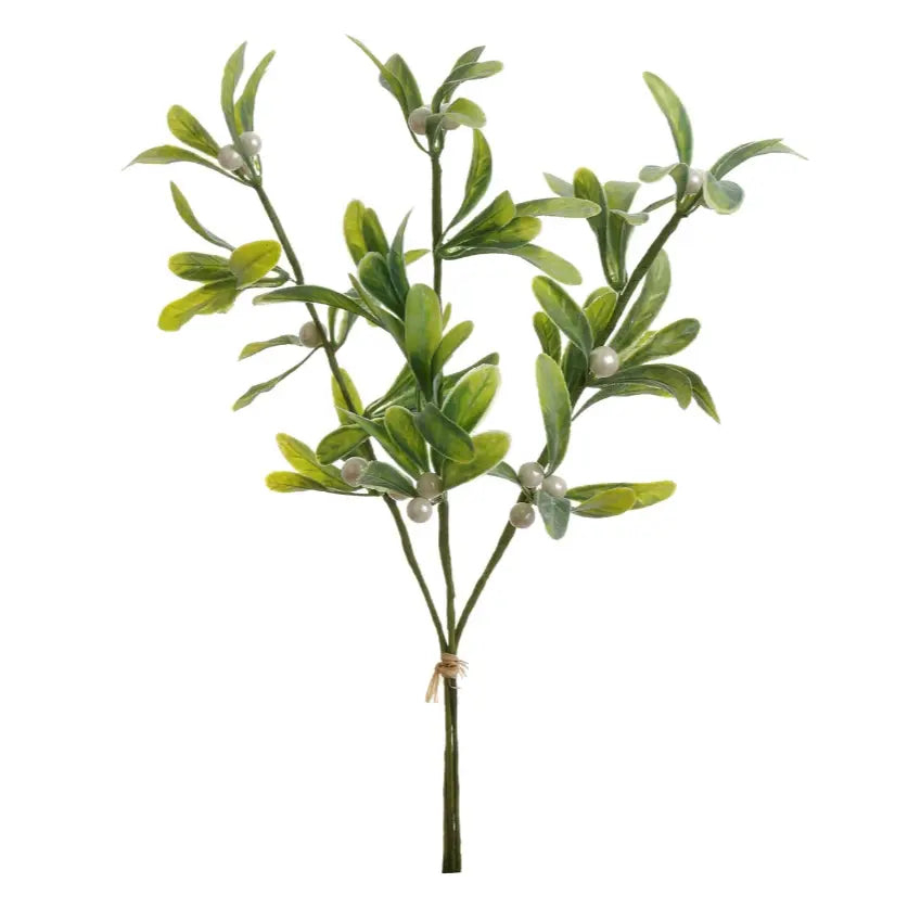 Home Smith Pearl Mistletoe Bundle Winward Stems, Blooms & Branches