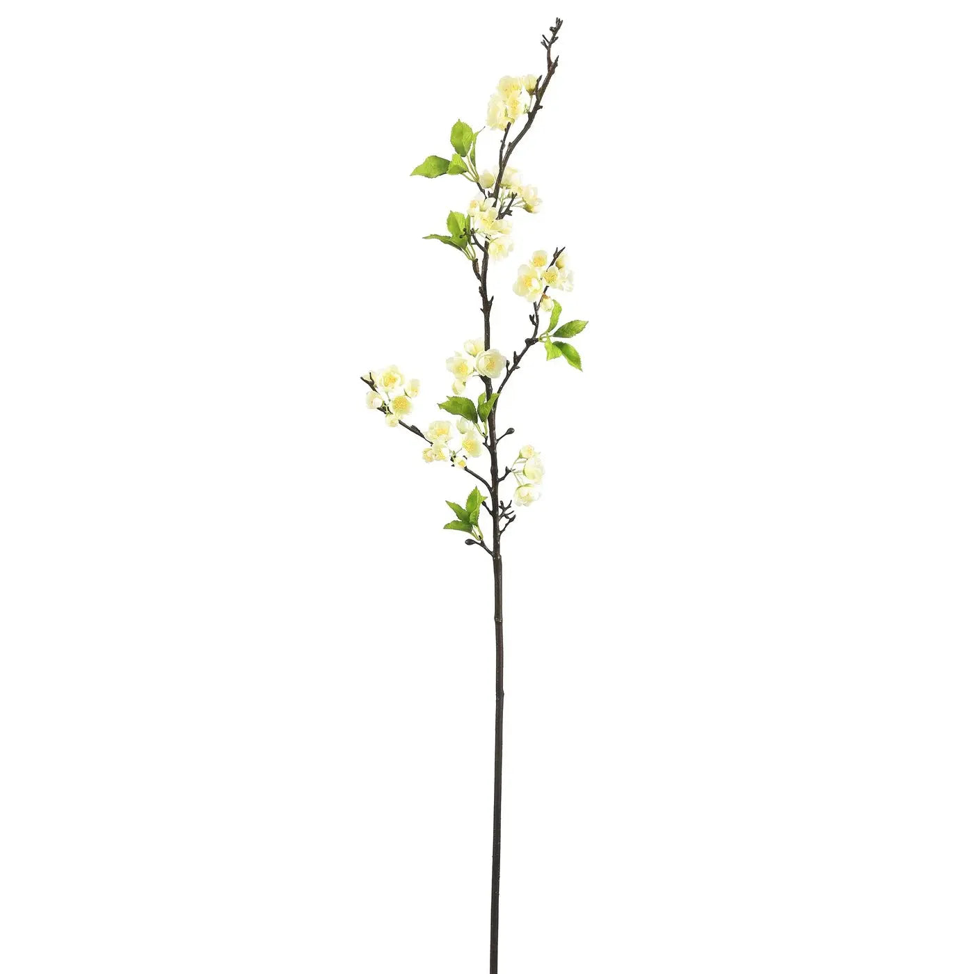 Plum Blossom Branch in White 44" - Home Smith
