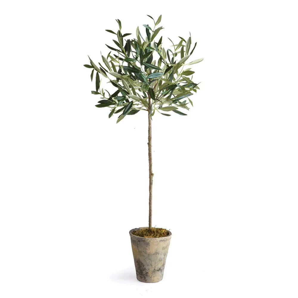 Home Smith 30 inch Potted Olive Tree