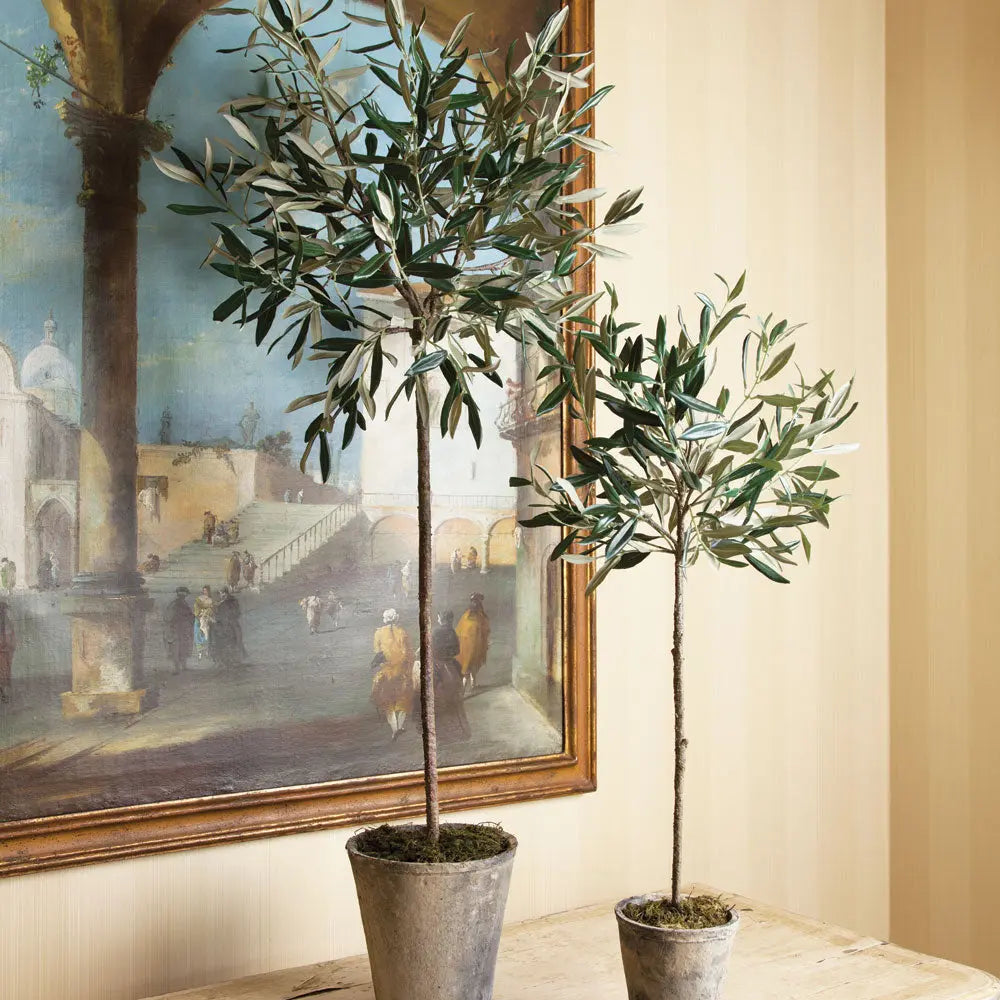 Home Smith Potted Olive Trees