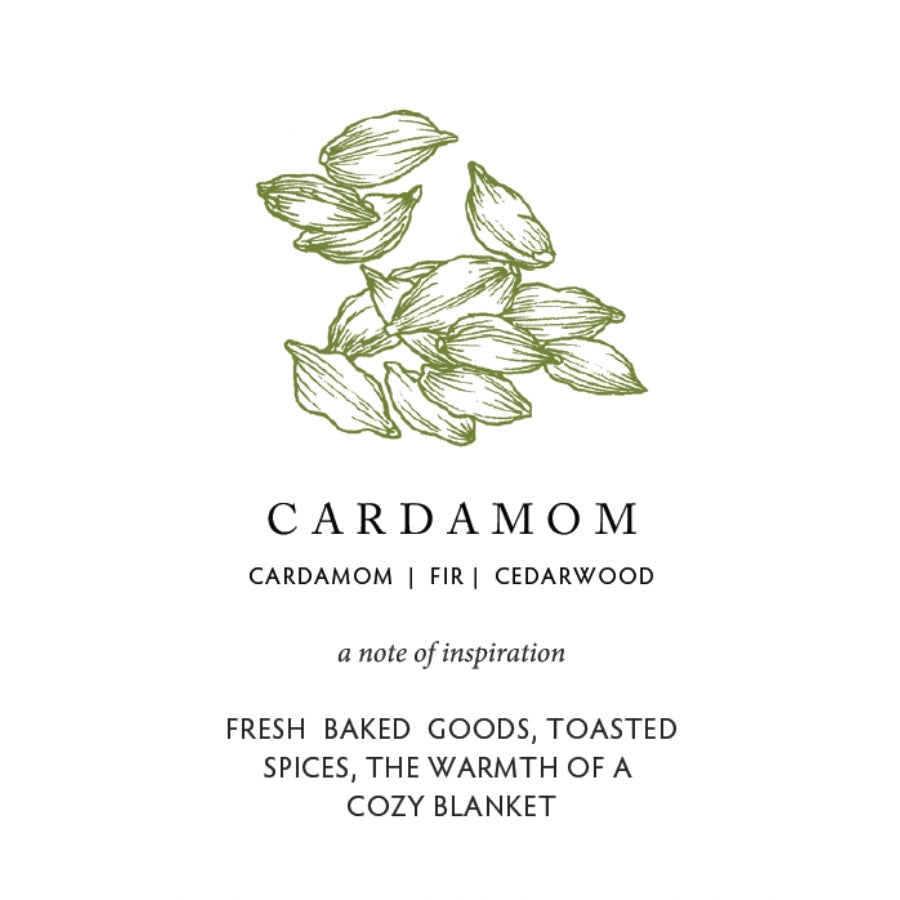 Cardamom Drawing and inspiration at Home Smith