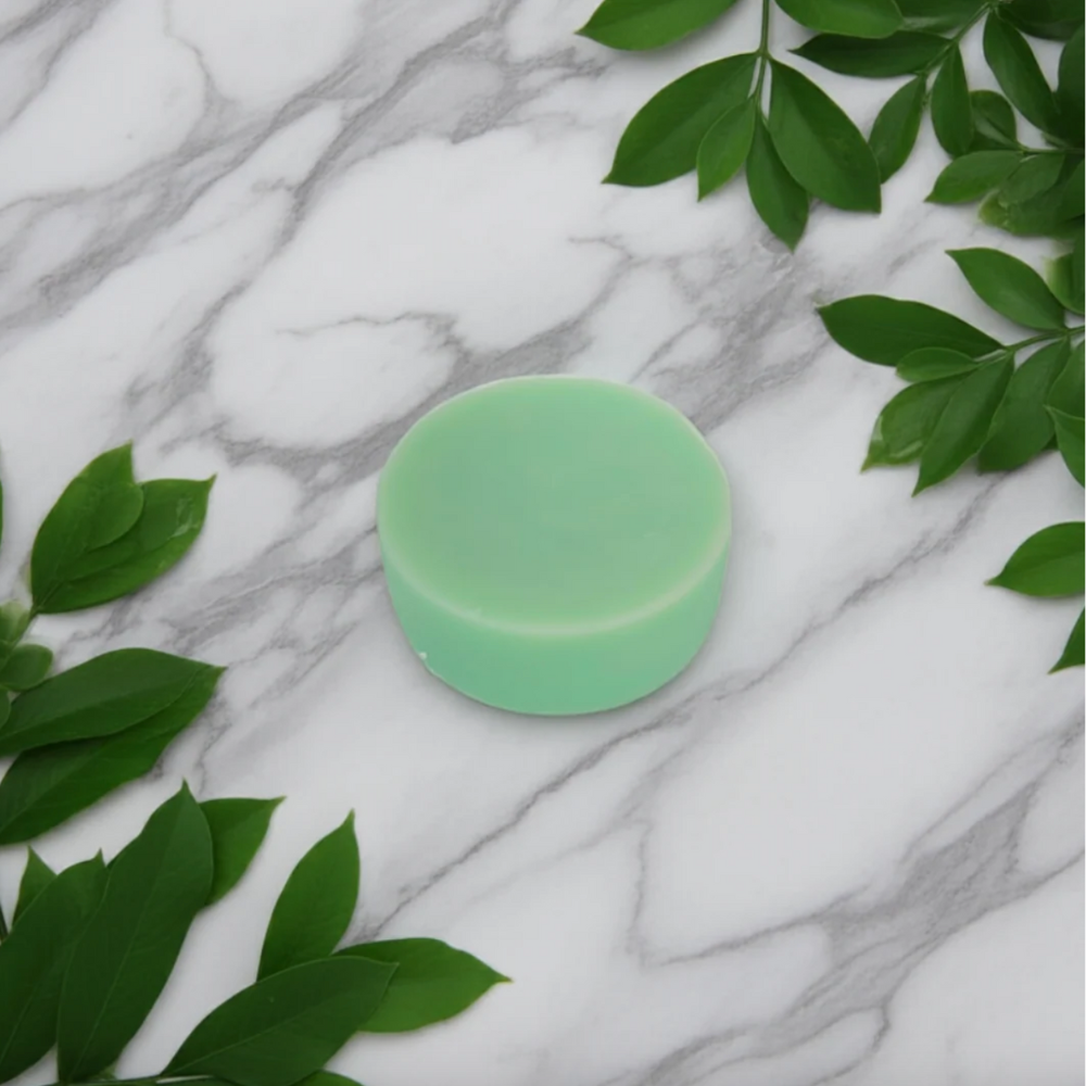 Rosemary & Mint Solid Conditioner Bar by Caley-Beth at Home Smith
