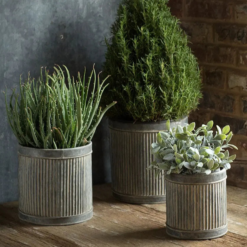 Round Metal Ribbed Riser Planters Home Smith