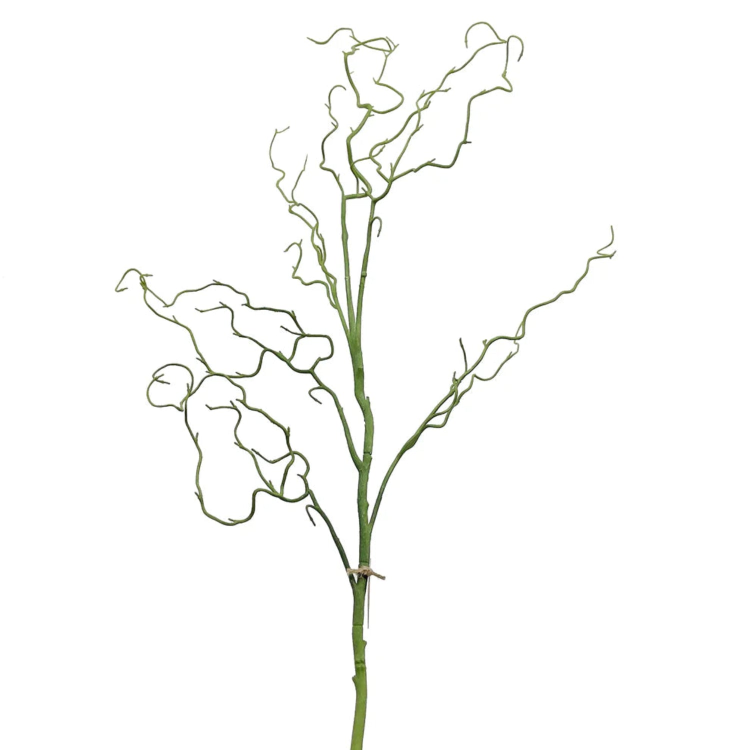 Artificial Curly Willow Branches at Home Smith