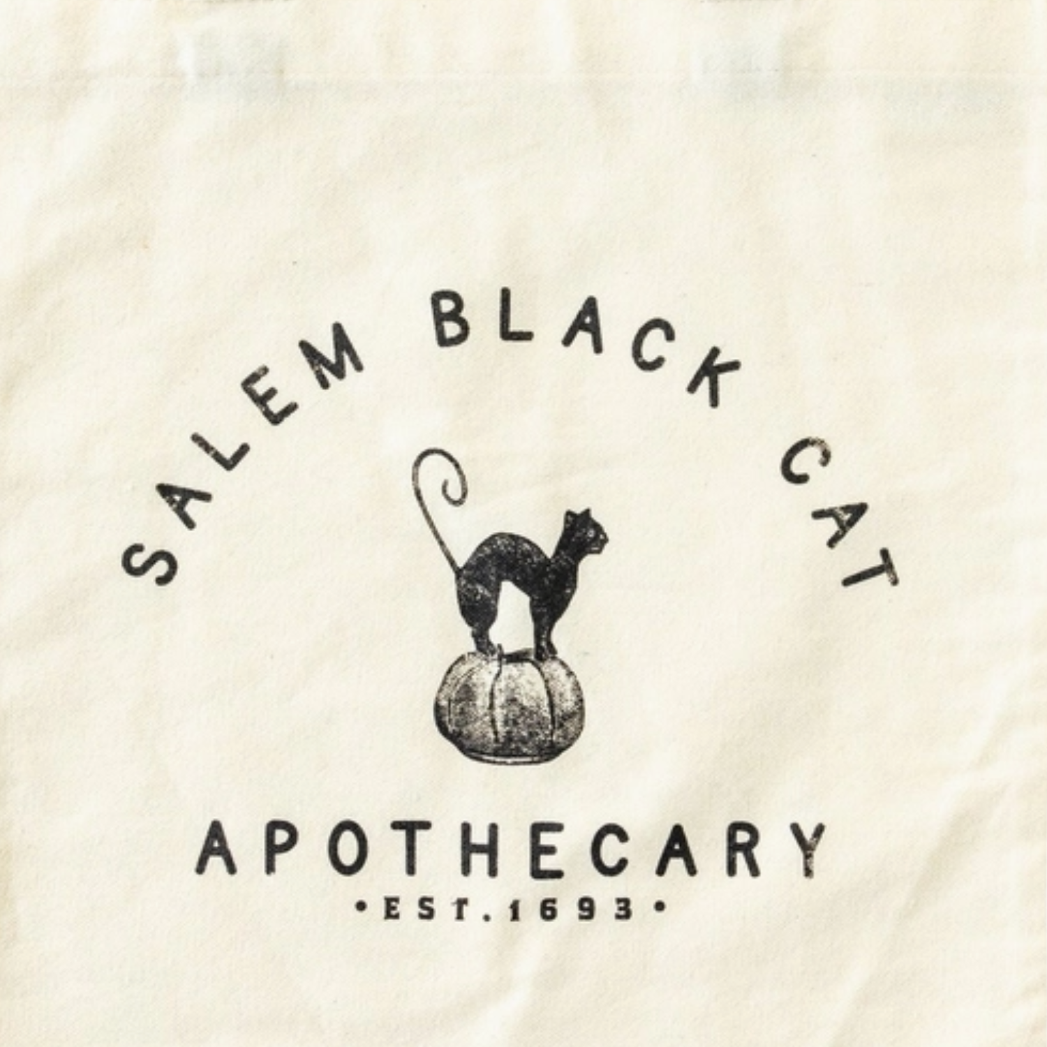 Salem Cat Trick or Treat Canvas Bag at Home Smith