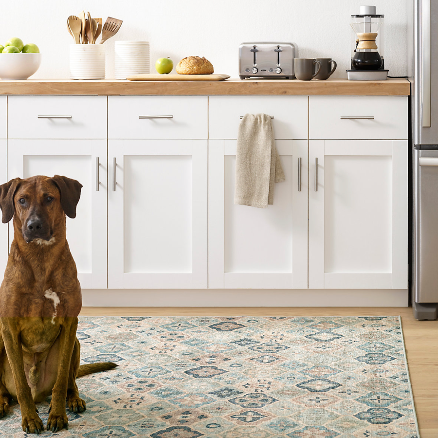 Pali Blue Dash and Albert Washable Rug at Home Smith