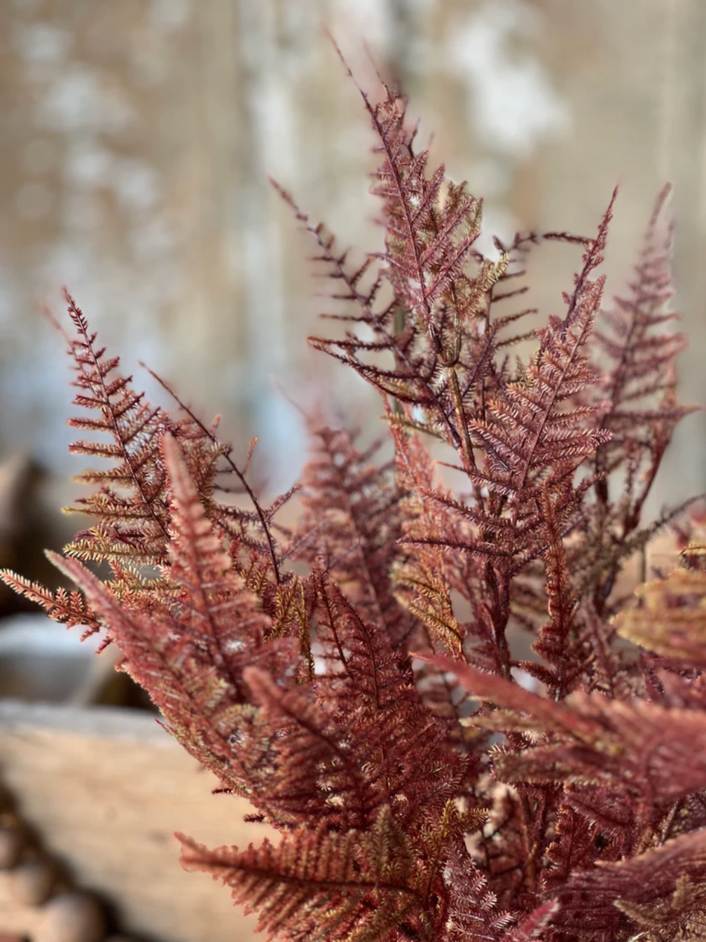 Faux Fern Bush in Bordeaux