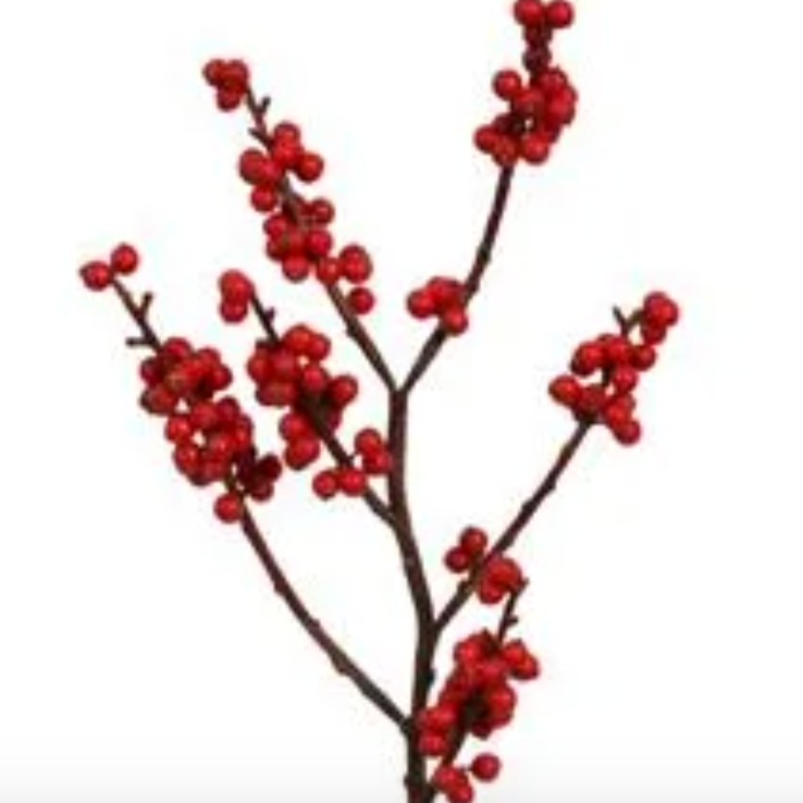 Christmas Berry Stem in Red at Home Smith