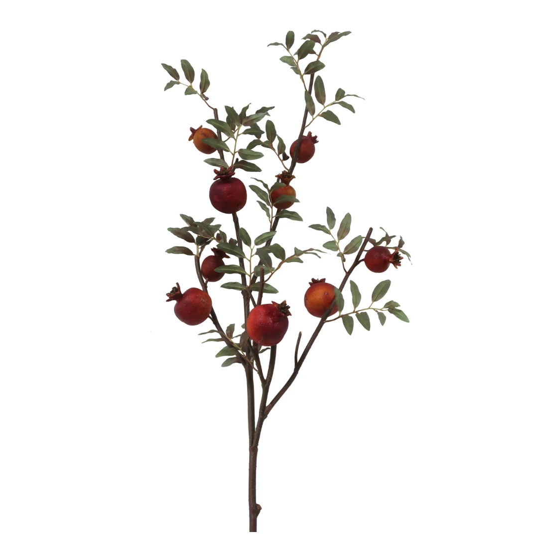 dried pomegranate branch at Home smith 