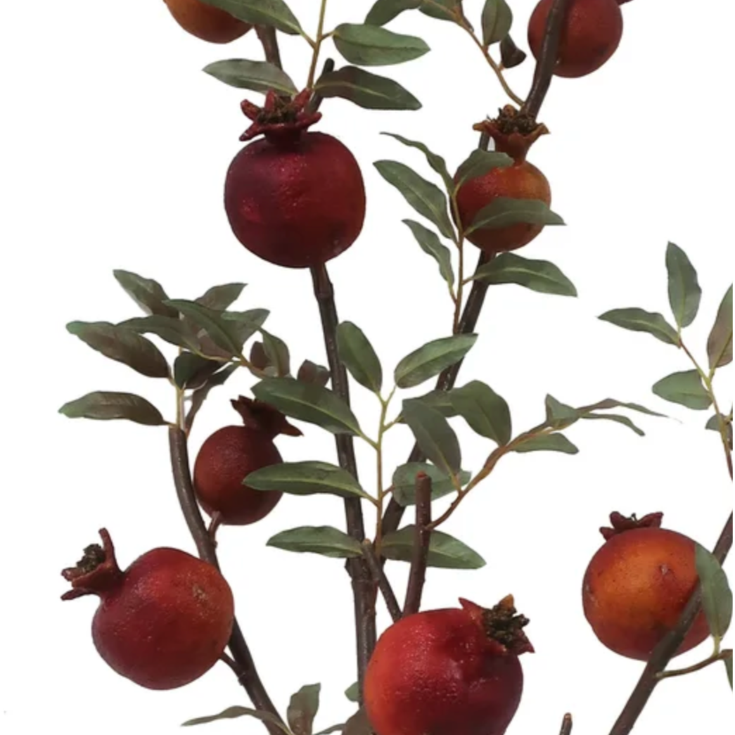 Detail of dried pomegranate branch at Home Smith 