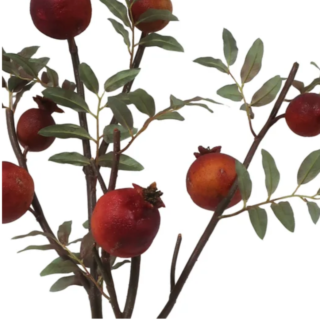 Detail of dry pomegranate branch at Home Smith 