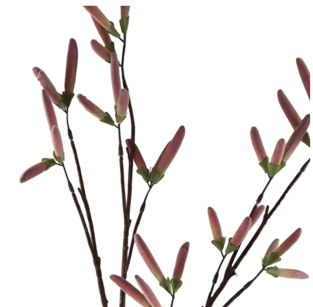 Charadom Red Bean Stems