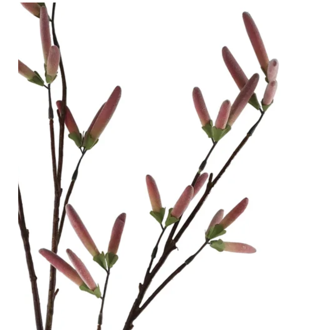 Charadom Red Bean Stems