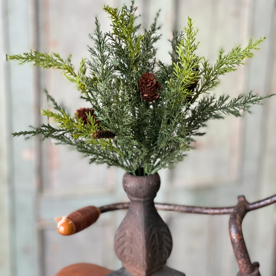 Prickly Pine Bush Pick with Cones - Home Smith