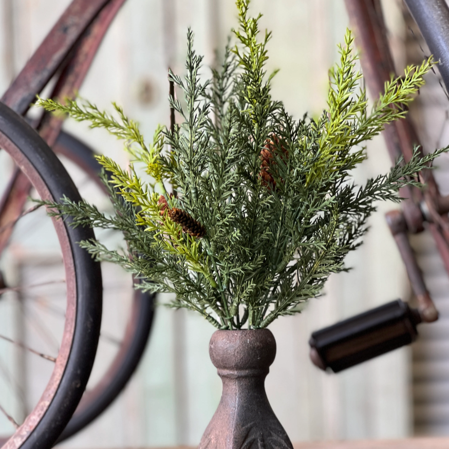 Prickly Pine Bush Pick with Cones - Home Smith