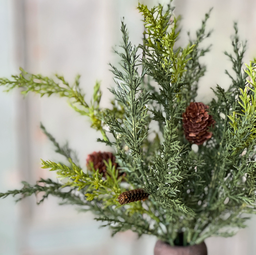 Prickly Pine Bush Pick with Cones - Home Smith