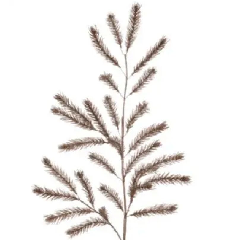 Mountain Pine Branch in Brown - Home Smith