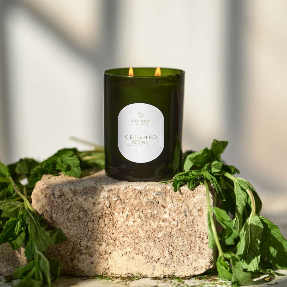 Linnea Soy Scented Candle in Crushed Mint at Home Smith 