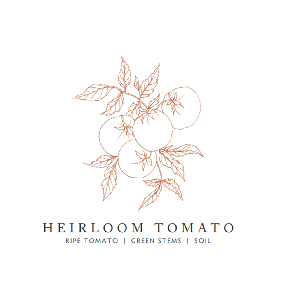 Heirloom Tomato Scented Candle Scent Notes at Home Smith