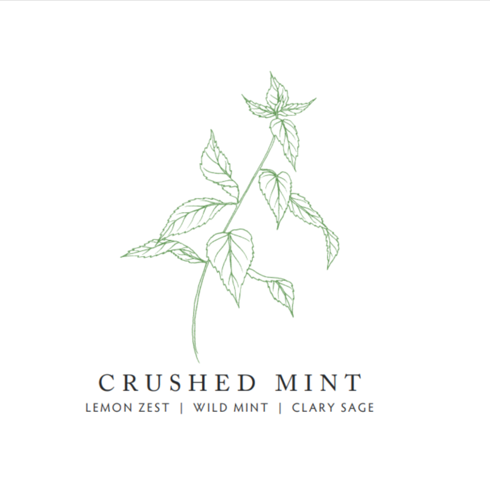 Crushed Mint Scent Notes at Home Smith 