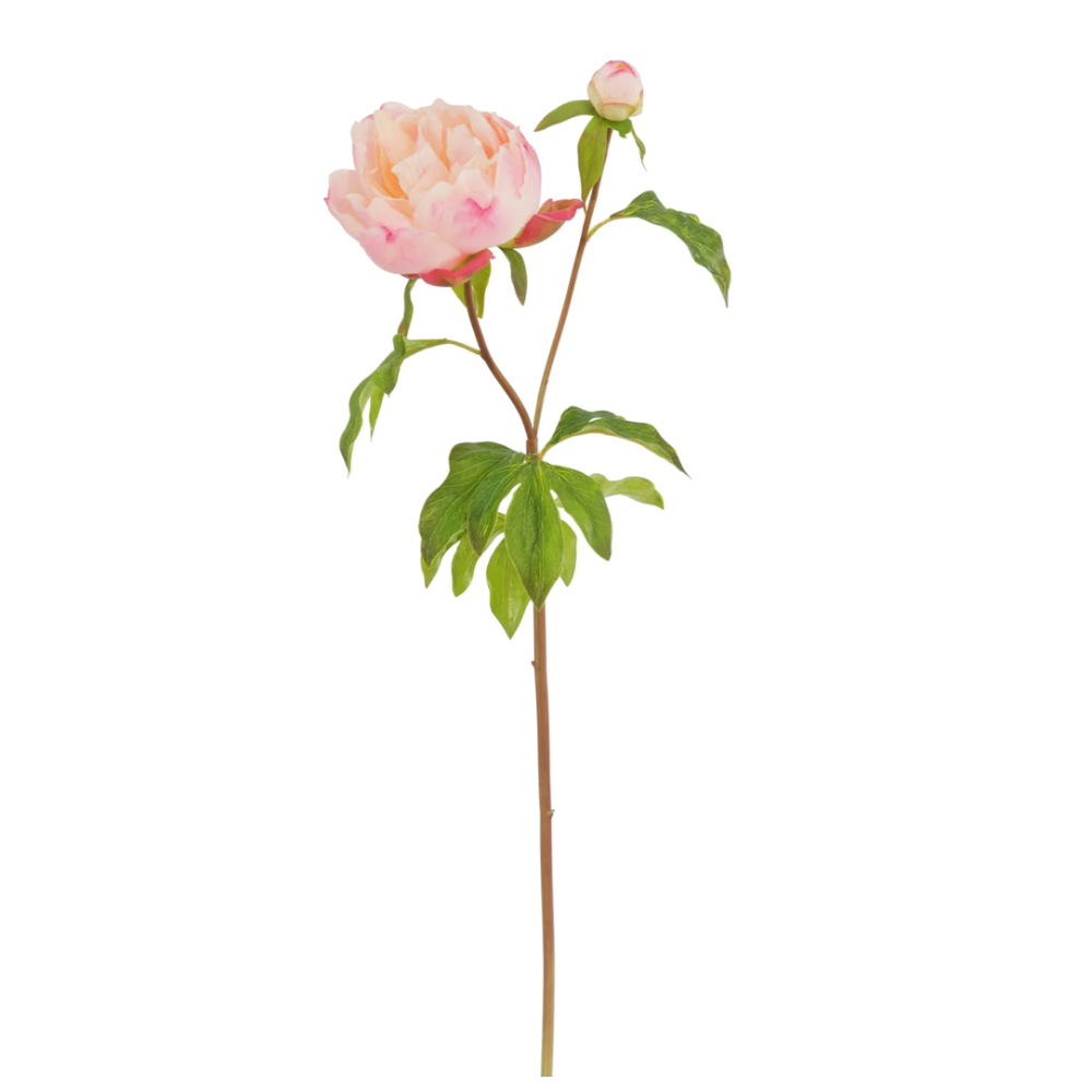 Winward Silks Real Touch Peony Stem at Home Smith 