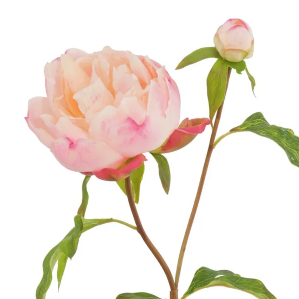 Winward Real Touch Peony Stem in Peach at Home Smith