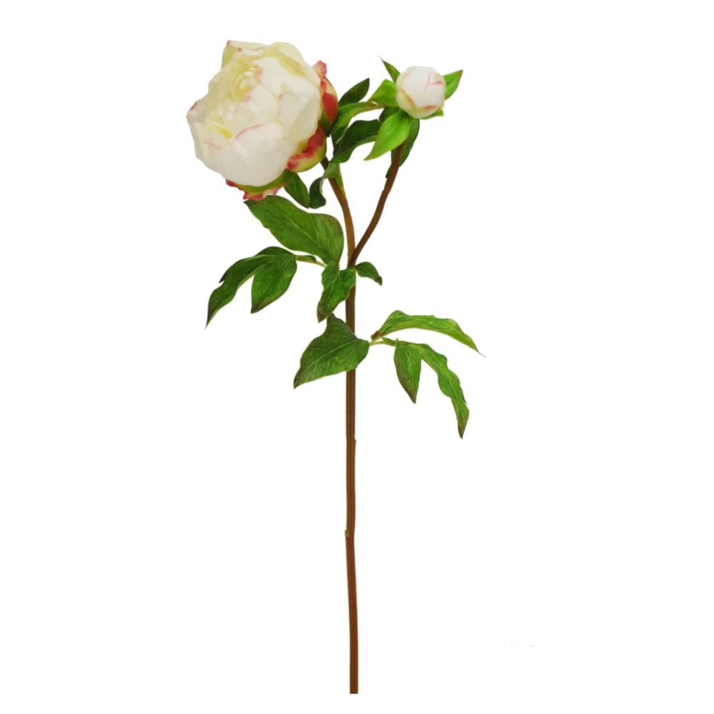 Winward Silks Real Touch Peony Stem in White at Home Smith 