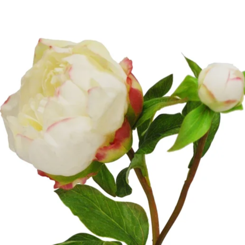 Winward Silks Real Touch Peony Stem in White at Home Smith