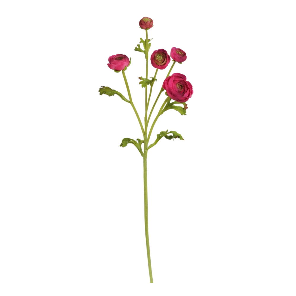 Natural Touch Ranunculus Stem in American Beauty from Winward at Home Smith