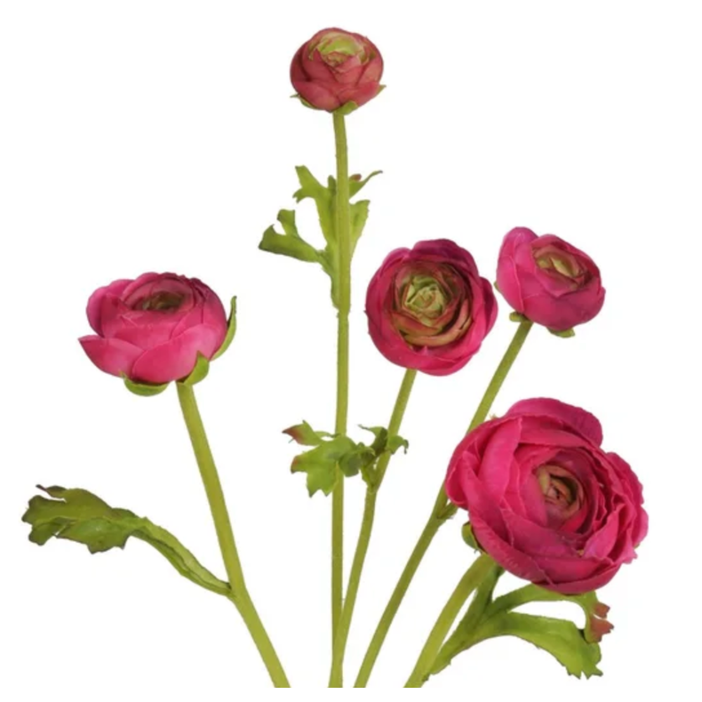 American Beauty Natural Touch Ranunculus Stems at Home Smith