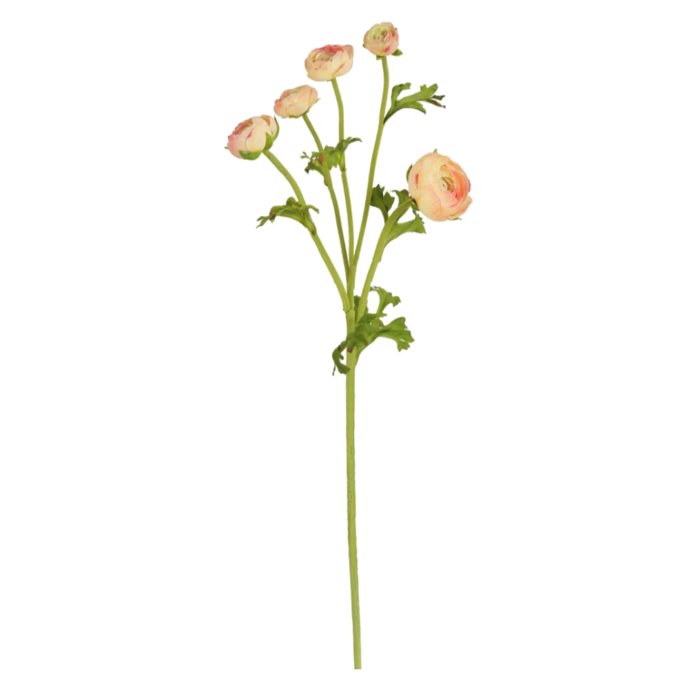 Natural Touch Ranunculus Stems in Peach at Home Smith 