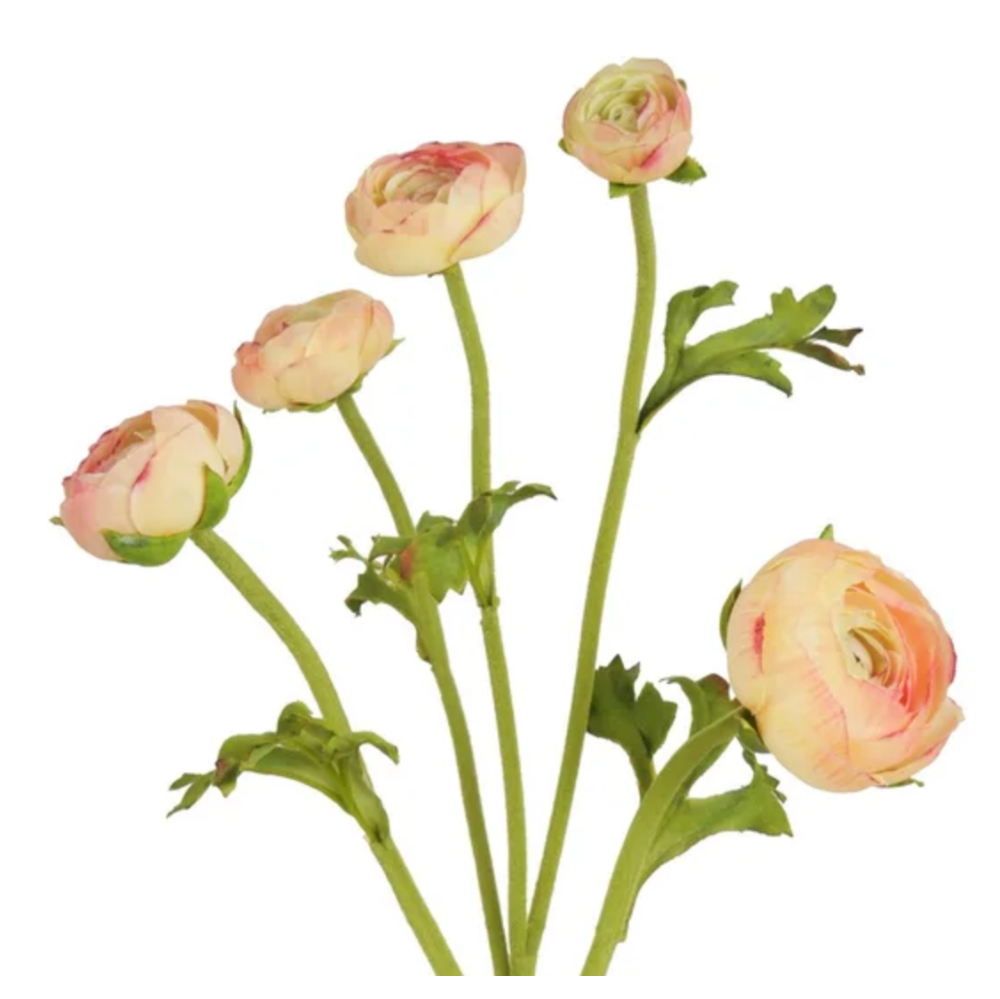 Natural Touch Ranunculus Stems in Peach at Home Smith 