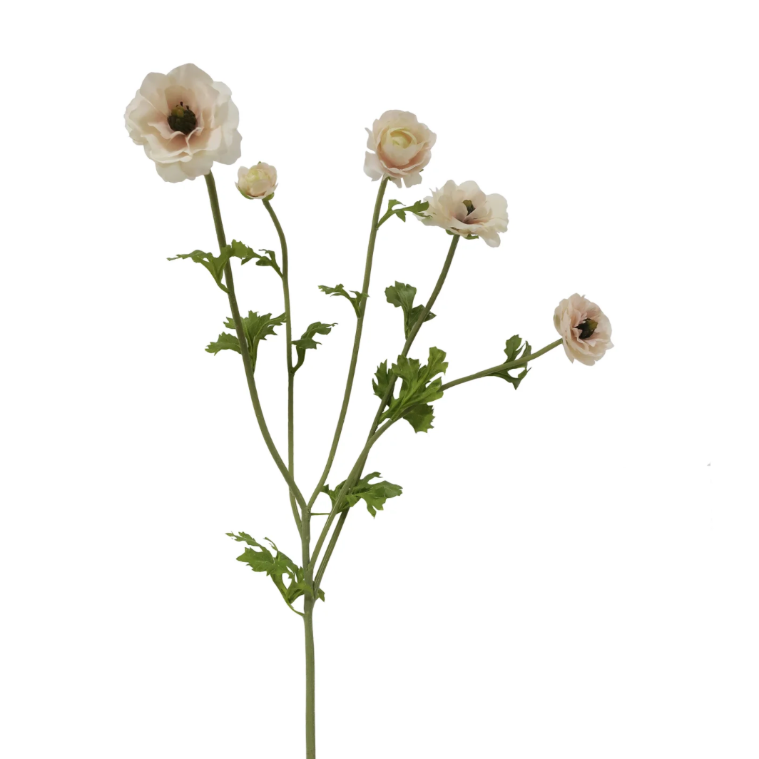 Butterfly Ranunculus stems in Linen Cream at Home Smith 