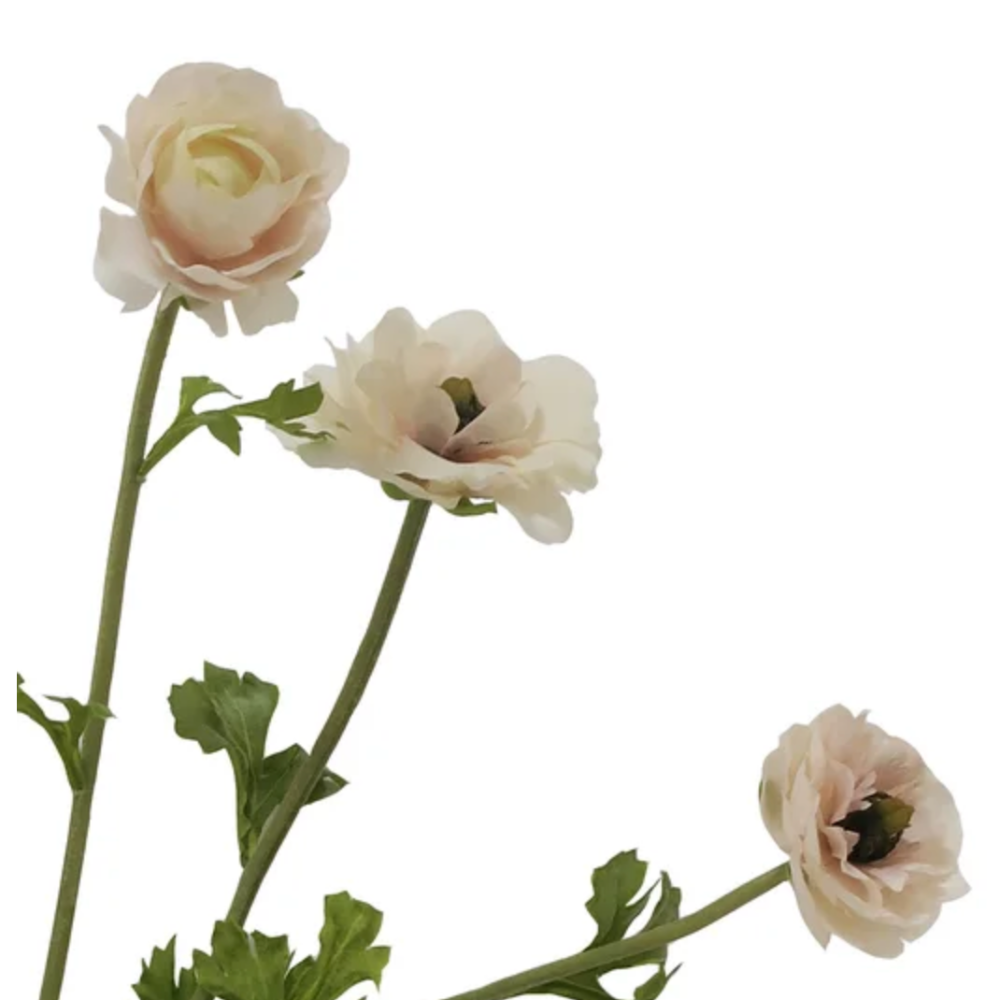 Butterfly Ranunculus Stems in LInen Cream at Home Smith