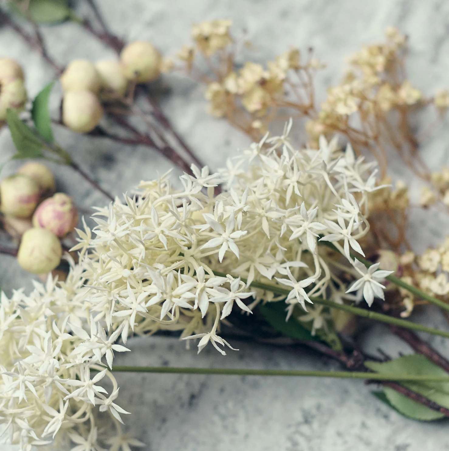Detail of Cream Artificial Allium Stems at Home Smith