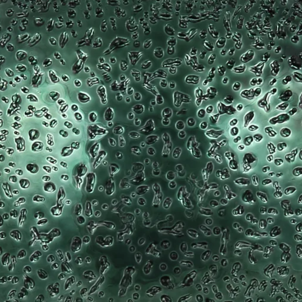 Jim Marvin Handblown Glass Beaded Ornaments in Dark Green
