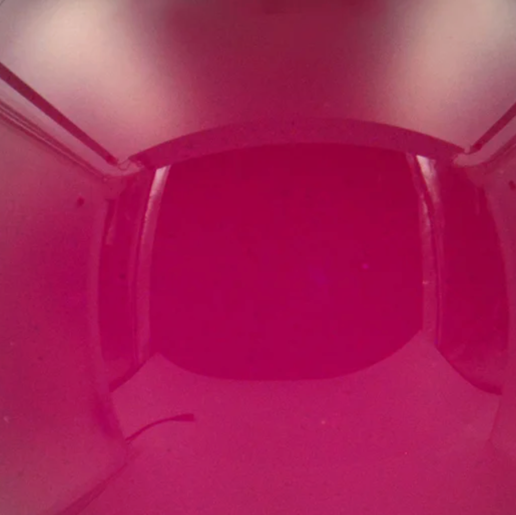 Jim Marvin Bubblegum Glass Ornament in Burgundy