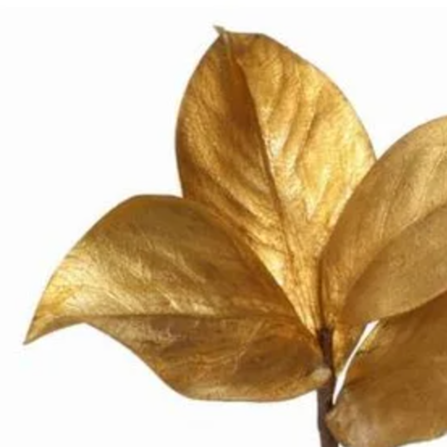 Goldleaf Magnolia Pick at Home Smith