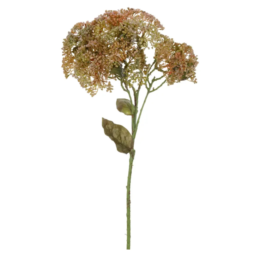 Home Smith Sedium Spray in Brown and Ivory Winward Stems, Blooms & Branches