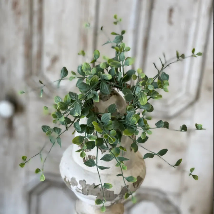 Seraph Vine 7" Mini Wreath | Candle Ring - Home Smith