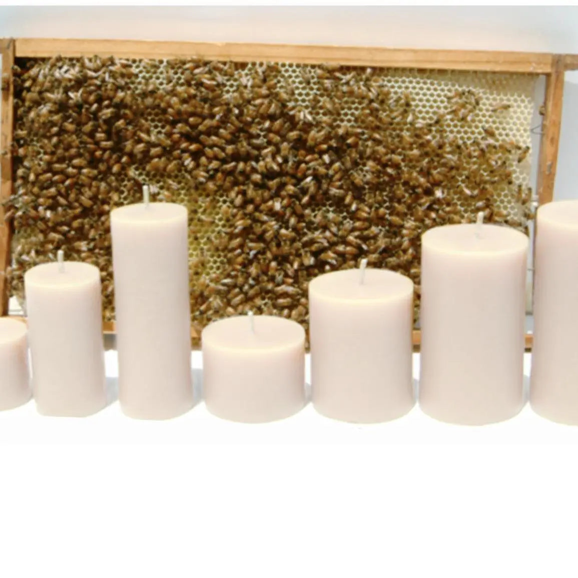 Smooth Ivory Beeswax Pillar Candles - Home Smith