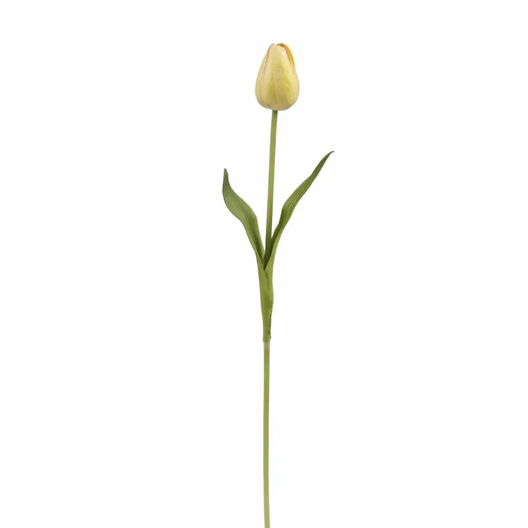 Home Smith Spring Pointed Tulips Winward Stems, Blooms & Branches