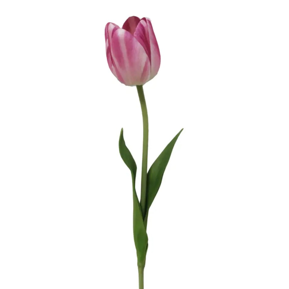 Home Smith Spring Tulips Winward Stems, Blooms & Branches