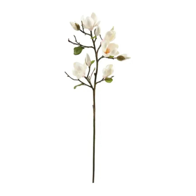 Home Smith Tree Magnolia Spray in Champagne Winward Stems, Blooms & Branches