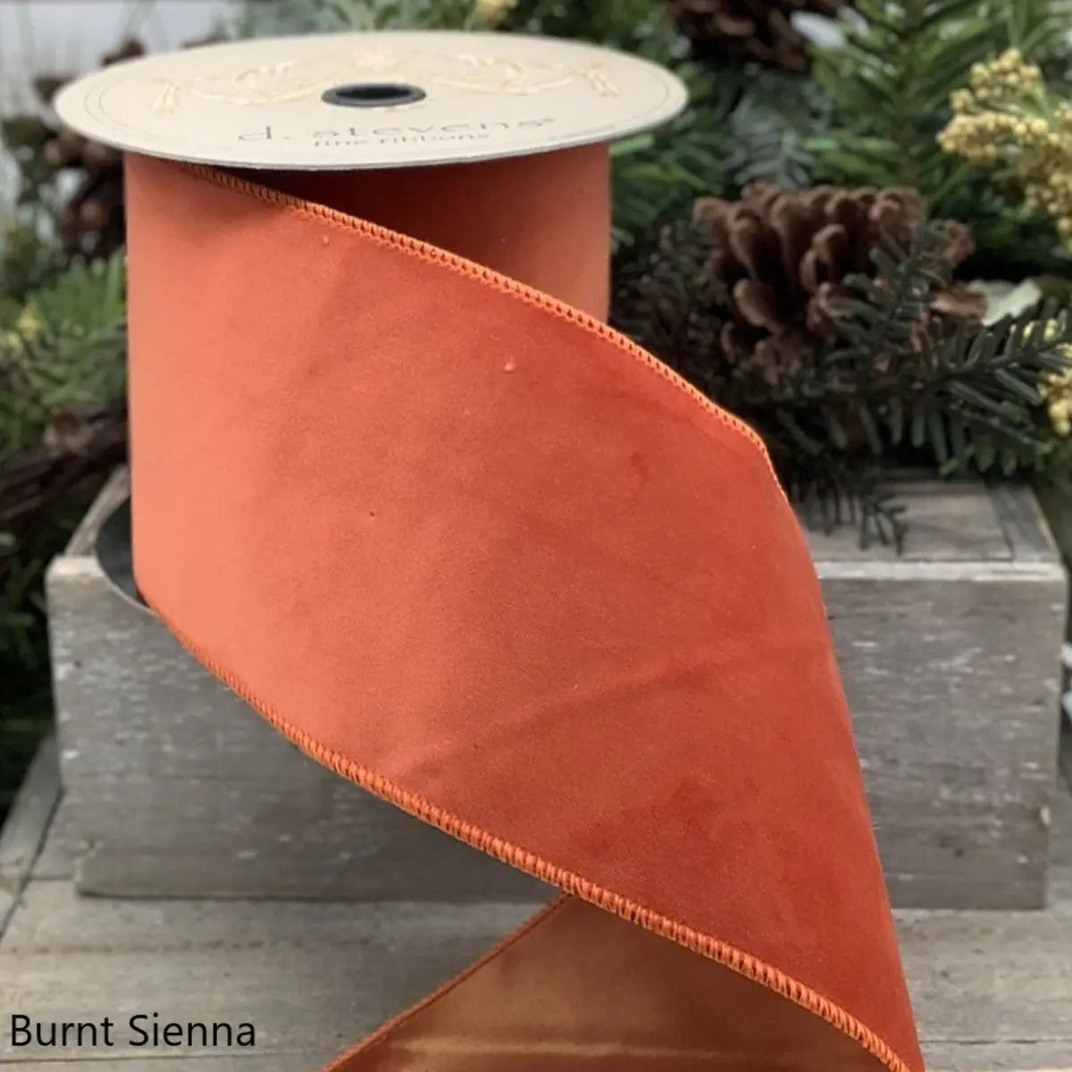 Home Smith Velvet Taffeta Backed Ribbon in Sienna d.stevens Ribbon