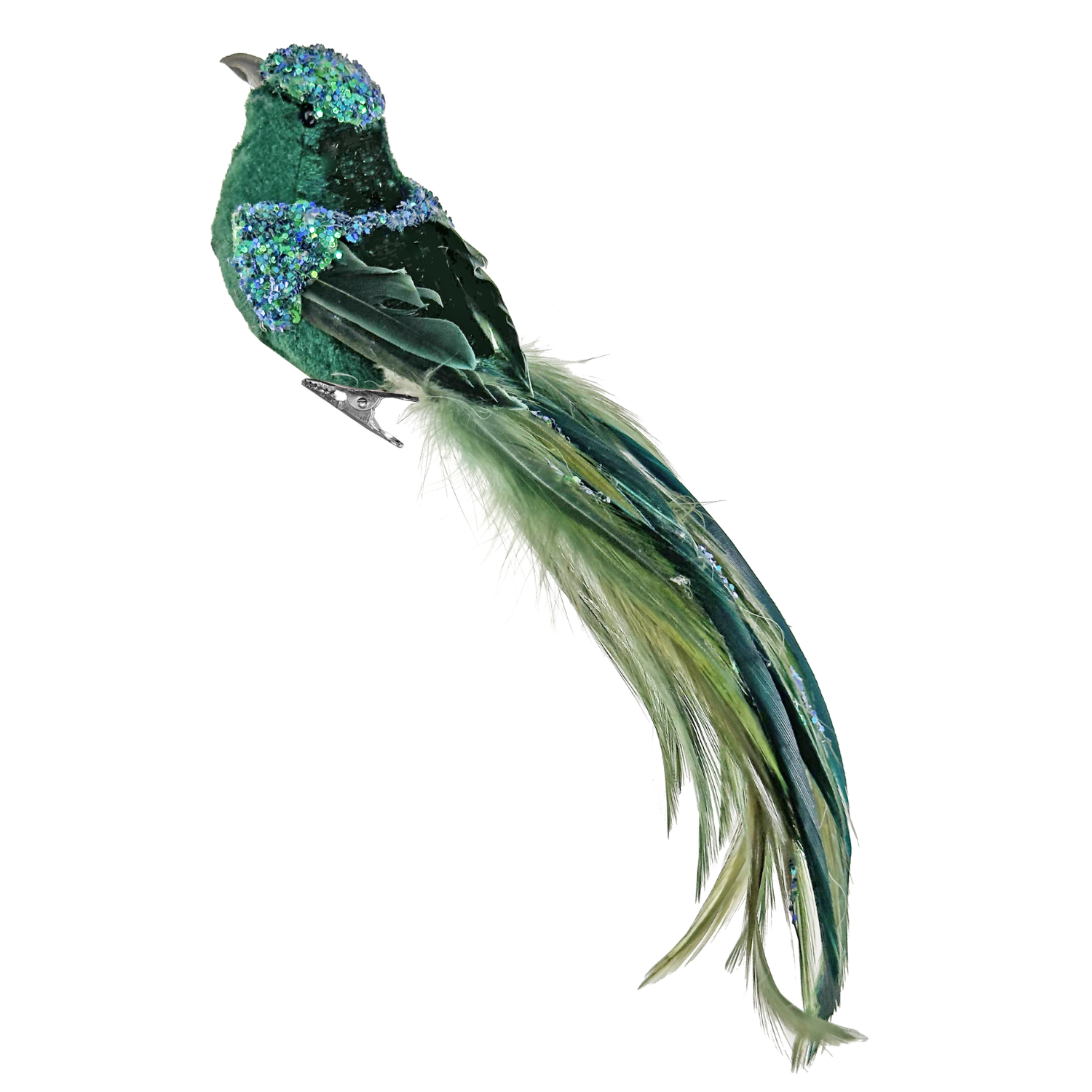 Velvet Feather Bird in Green Blue at Home Smith