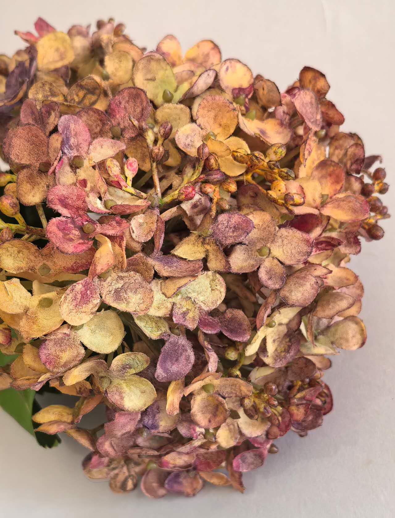 Artificial Fall Dried Hydrangea Stems in Amber Brown