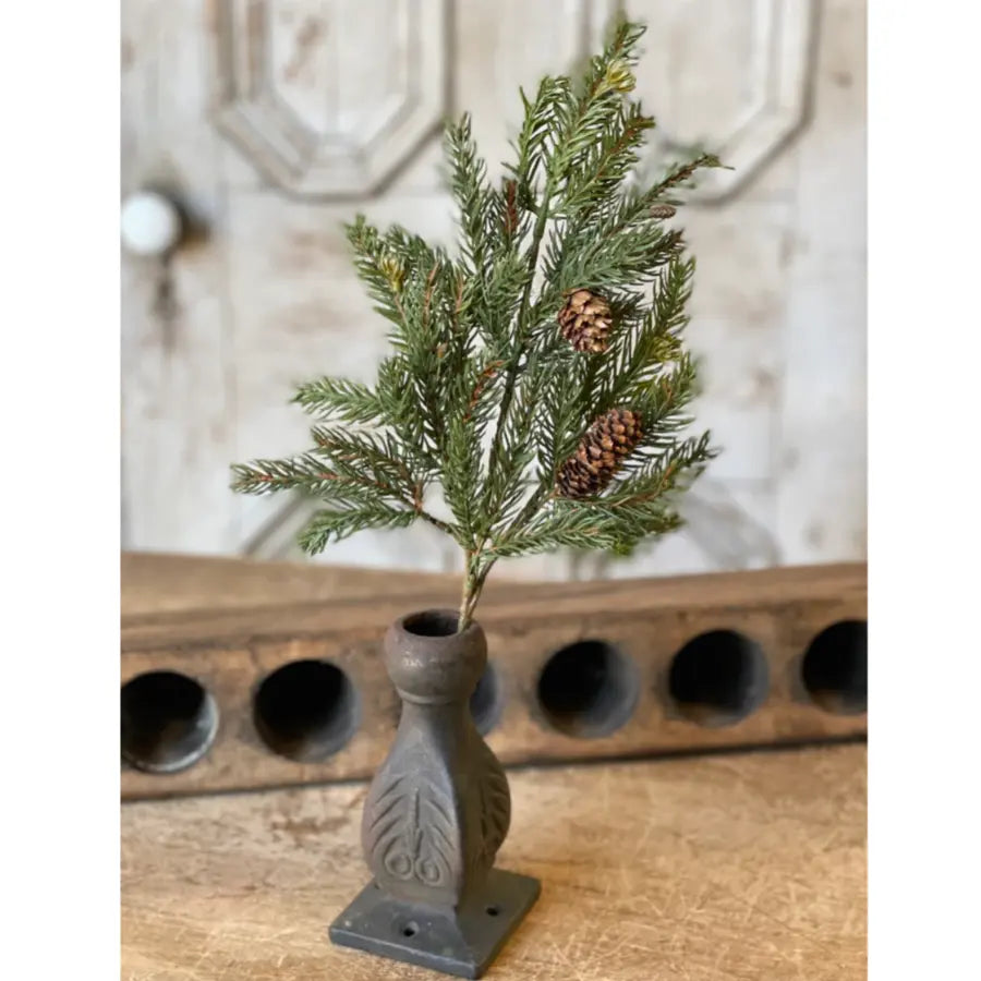 White Spruce Pick with Petite Cones - Home Smith