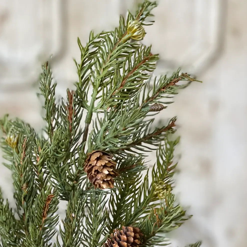 White Spruce Pick with Petite Cones - Home Smith